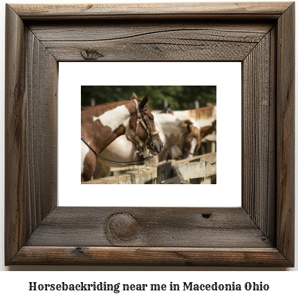 horseback riding near me in Macedonia, Ohio